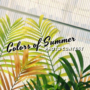 Winning Entry: Colors of Summer Photo Contest on Instagram