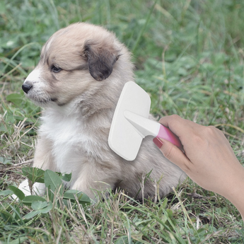 Get your Fur Babies the Eco-Fused Pet Care: Brush and Clipper Kit