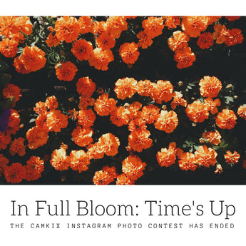 Announcing the Runners up and Winner for our May Photo Contest: In Full Bloom