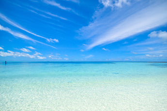The Winner and the Runners Up Seas-ed the Day on our June Photo Contest!